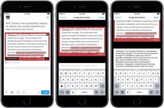 Twitter lettura immagine non vedenti 530x352 1