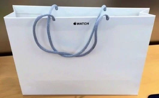 busta carta Apple Watch 530x327 1