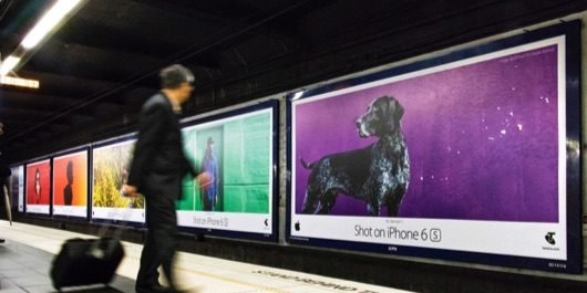 campagna scattato con un iPhone 530x265 1