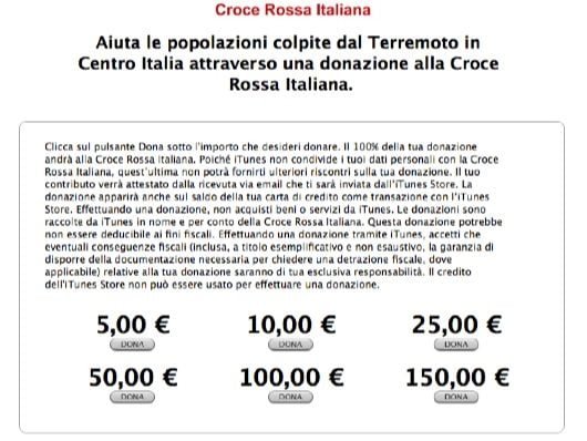 Raccolta fondi terremotati 530x398 1