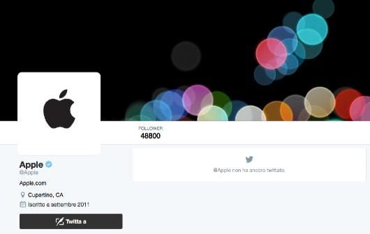 Apple Twitter 530x336 1