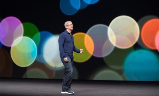 Tim Cook 1 530x321 1