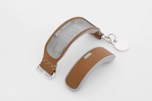 Link Akc, il collare intelligente per non perdere il cane 1 Link Akc