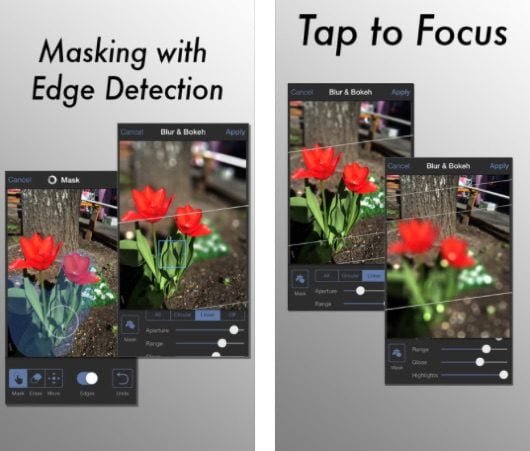 Tadaa SLR, l'app per ottenere l'effetto bokeh senza 7 Plus 1 Tadaa SLR