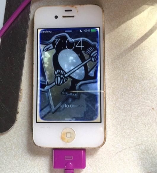 iPhone 4 lago 530x585 1