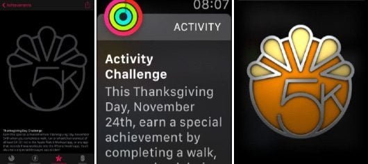 medaglia giorno ringraziamento 530x236 1