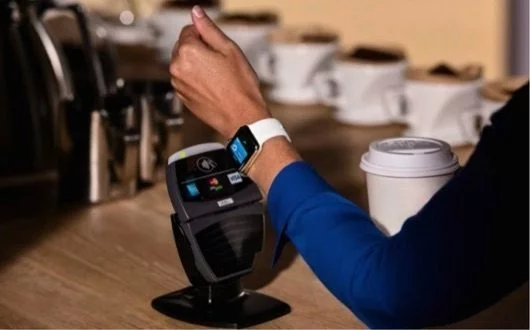VISA vuole diffondere il cashless, i ristoranti senza contanti 1 cashless