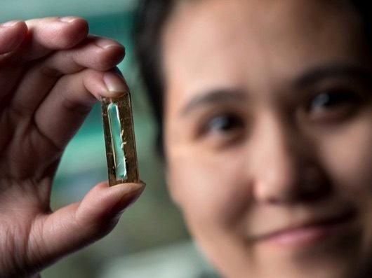 batteria 400 anni 530x397 1