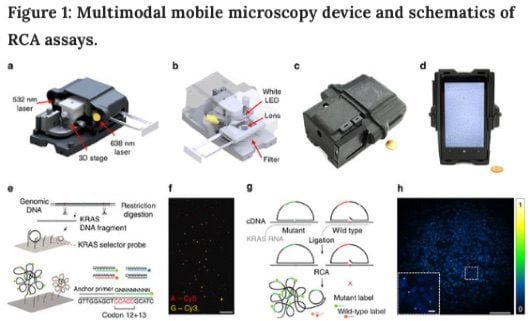 Lo smartphone può essere usato per analizzare il DNA 1 DNA da smartphone