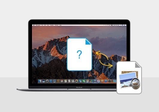 Un bug dell'app Anteprima ritorna in macOS Sierra 10.12.2 1 macOS Sierra 10.12.2