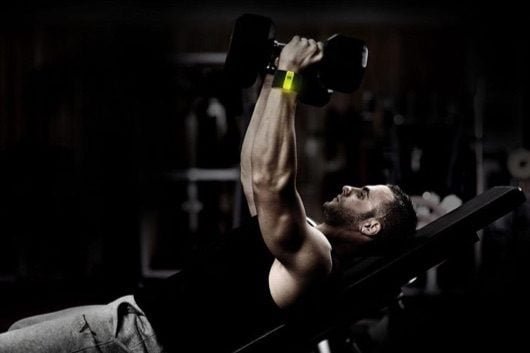 Beast Sensor 530x353 1