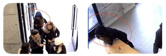La banda dei castori ruba 24 iPhone rosicchiandone il cavo 1 ladri Apple Store