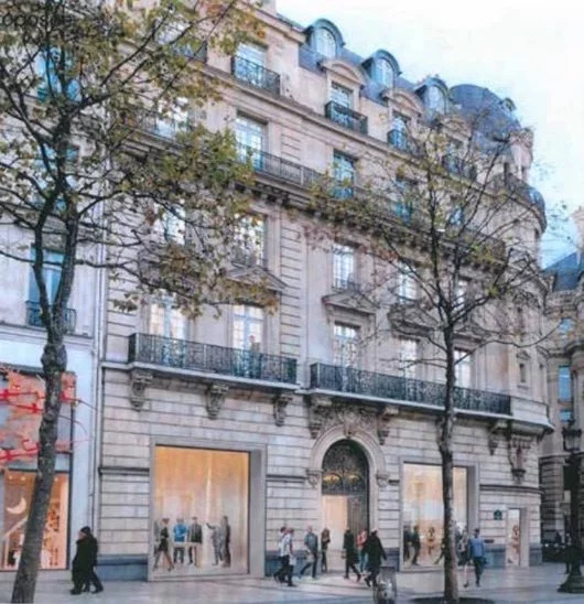 Apple Store Champs Elysees 530x548 1