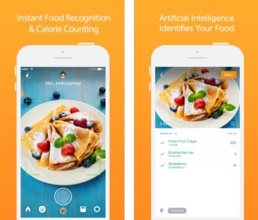 Calorie Mama 530x452 1