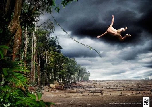 Apple donerà 1 $ al WWF per ogni pagamento fatto oggi nei suoi Apple Store con Apple Pay 1 WWF