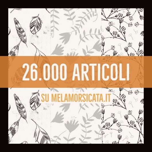 26000 articoli