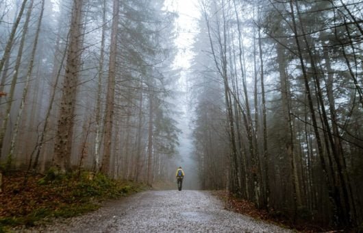 Passeggiata nel bosco