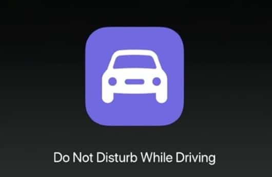 Non disturbare guida