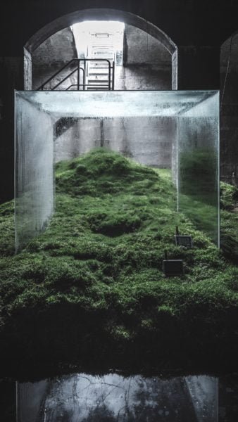 Home Nature