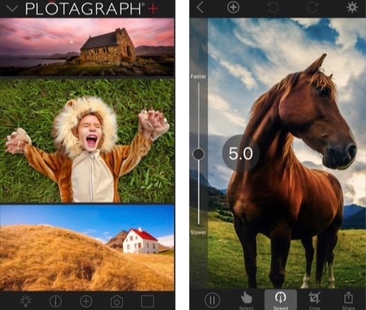 Plotograph