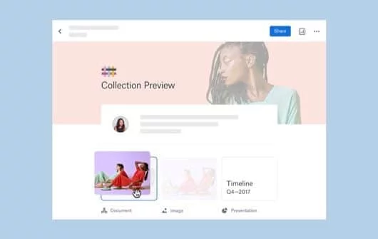 Dropbox lancia il piano Professional, con alcune funzioni interessanti 1 Dropbox Professional