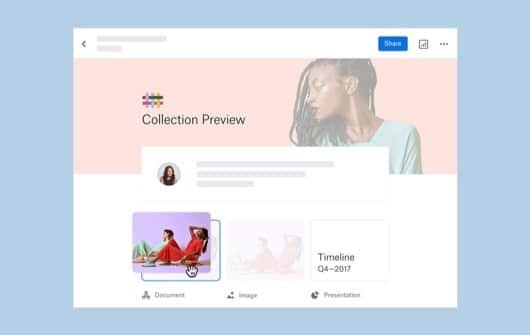 Dropbox Professional