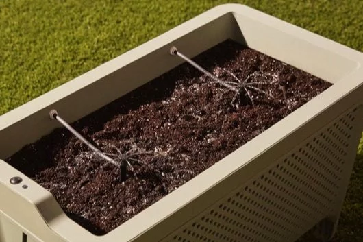 Grow Duo, il vaso che irriga le piantine e gestito dall'iPhone 1 Grow Duo
