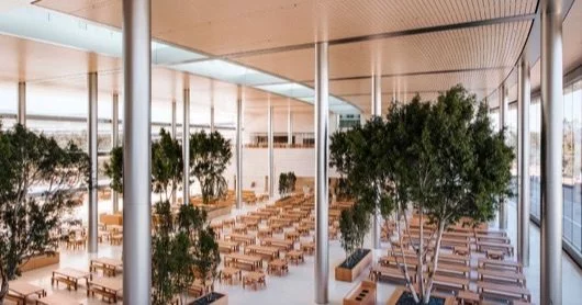 L’Apple Park è stato quasi completato e Jonathan Ive racconta alcune chicche 1 Caffetteria_Apple_Park