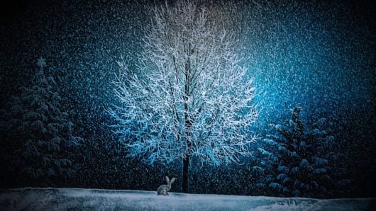 The last night before