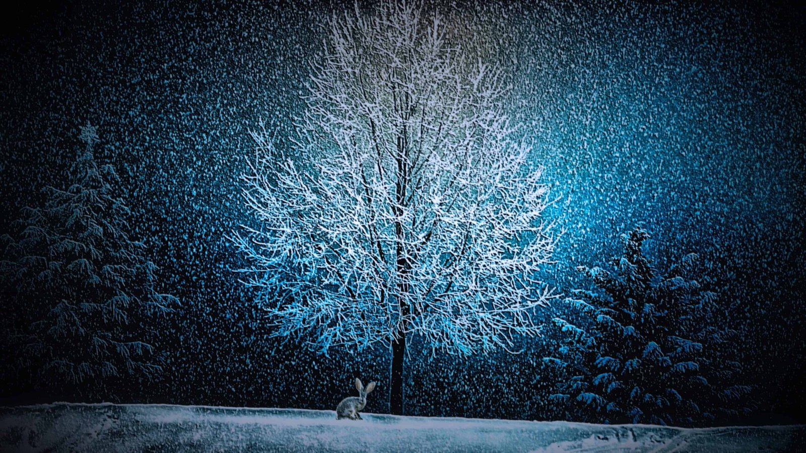 The last night before