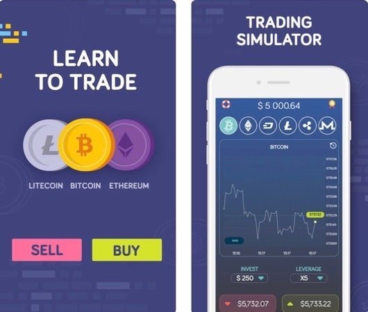 Bitcoin Flip Trading Simulator