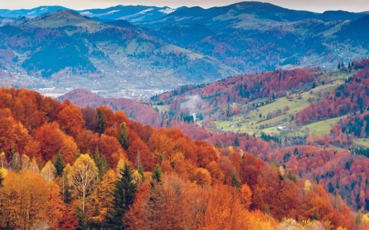 Mountain Red
