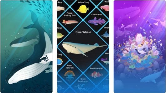 Tap Tap Fish