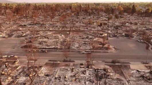 Apple prepara un documentario sui cambiamenti climatici 1 California