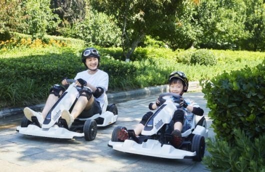 Gokart Ninebot