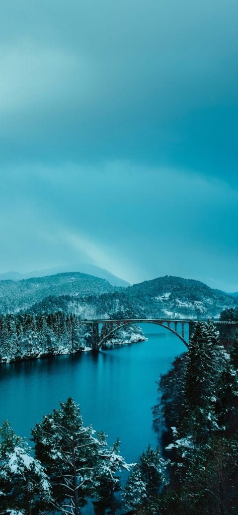 Bridge in the forest