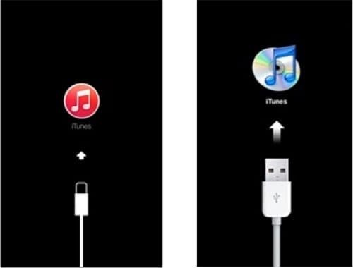 Come effettuare il downgrade da iOS 13 beta a iOS 12 e risolvere i problemi 4 la schermata della Modalità Recupero di iOS