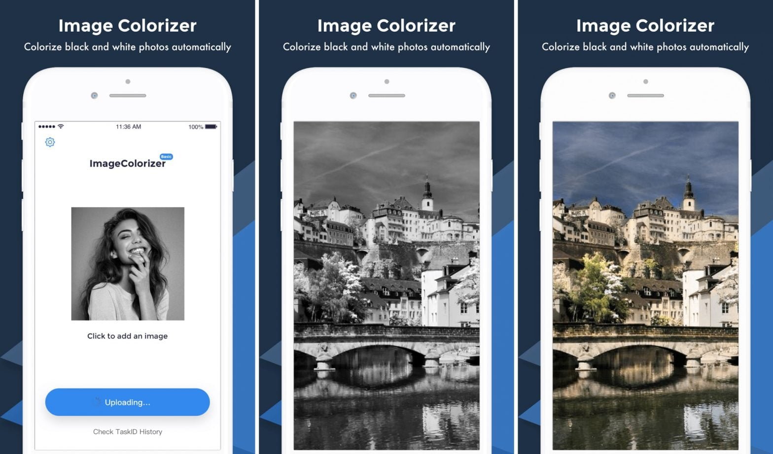 Scopri Image Colorizer: La Magia Delle Foto A Colori