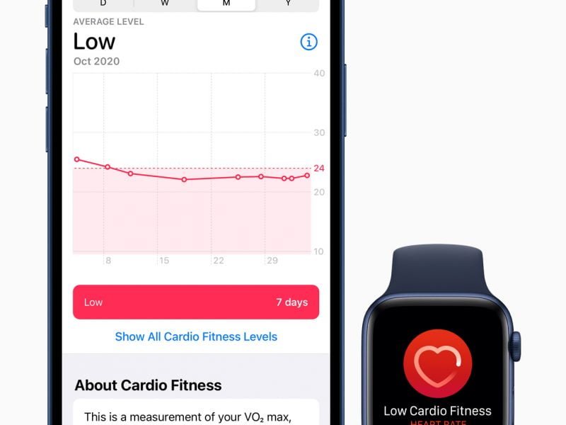 tono cardiovascolare