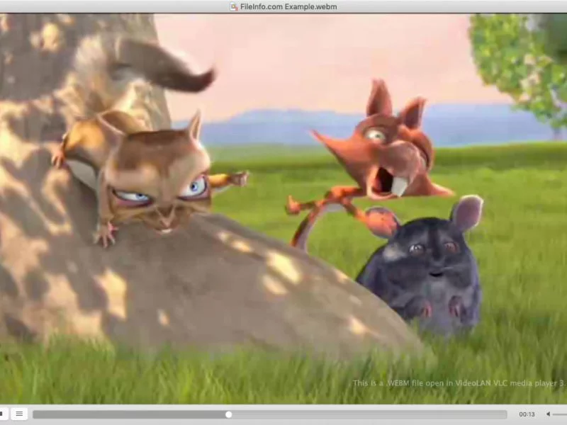 WebM