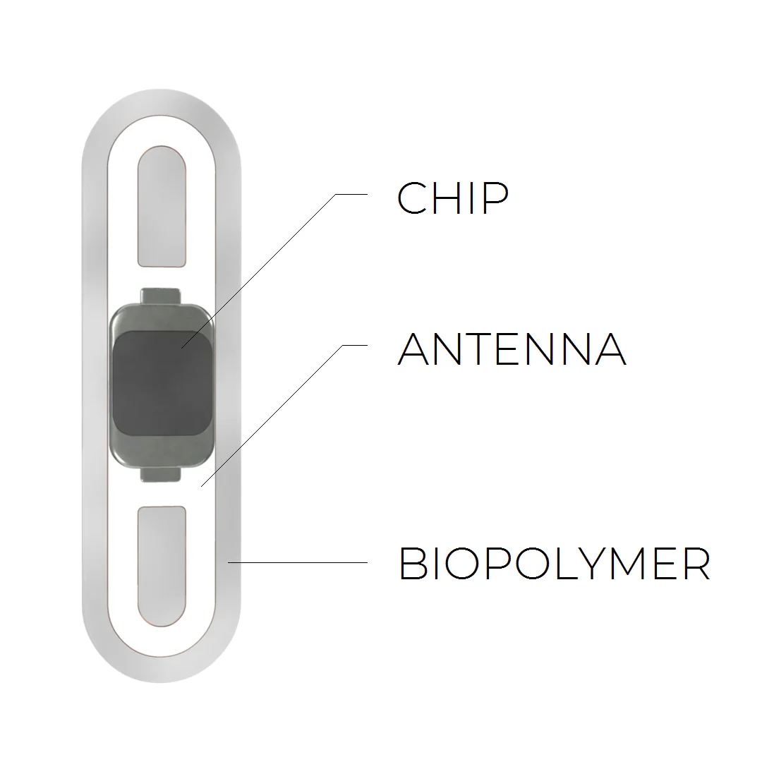 Il chip di Walletmor