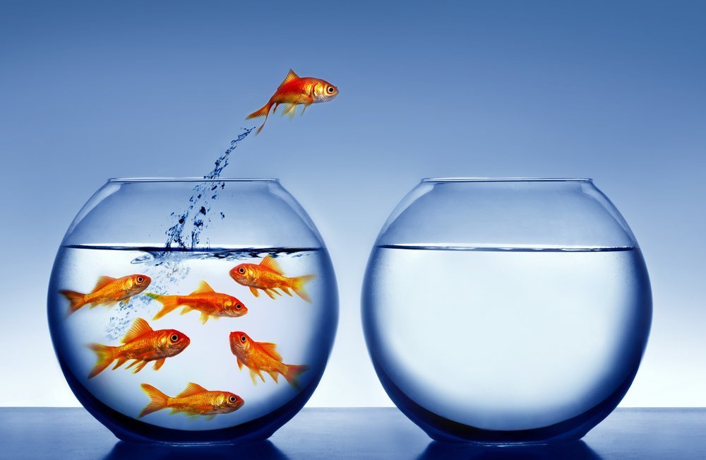 La strategia dell'oceano blu