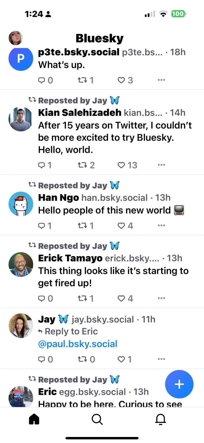 Bluesky: il social network decentralizzato di Jack Dorsey 2 Come si presenta il feed di Bluesky