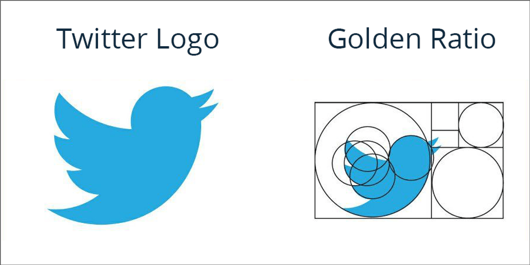 Addio Twitter, l’app e il logo saranno a breve una X 2 Il logo Twitter attuale