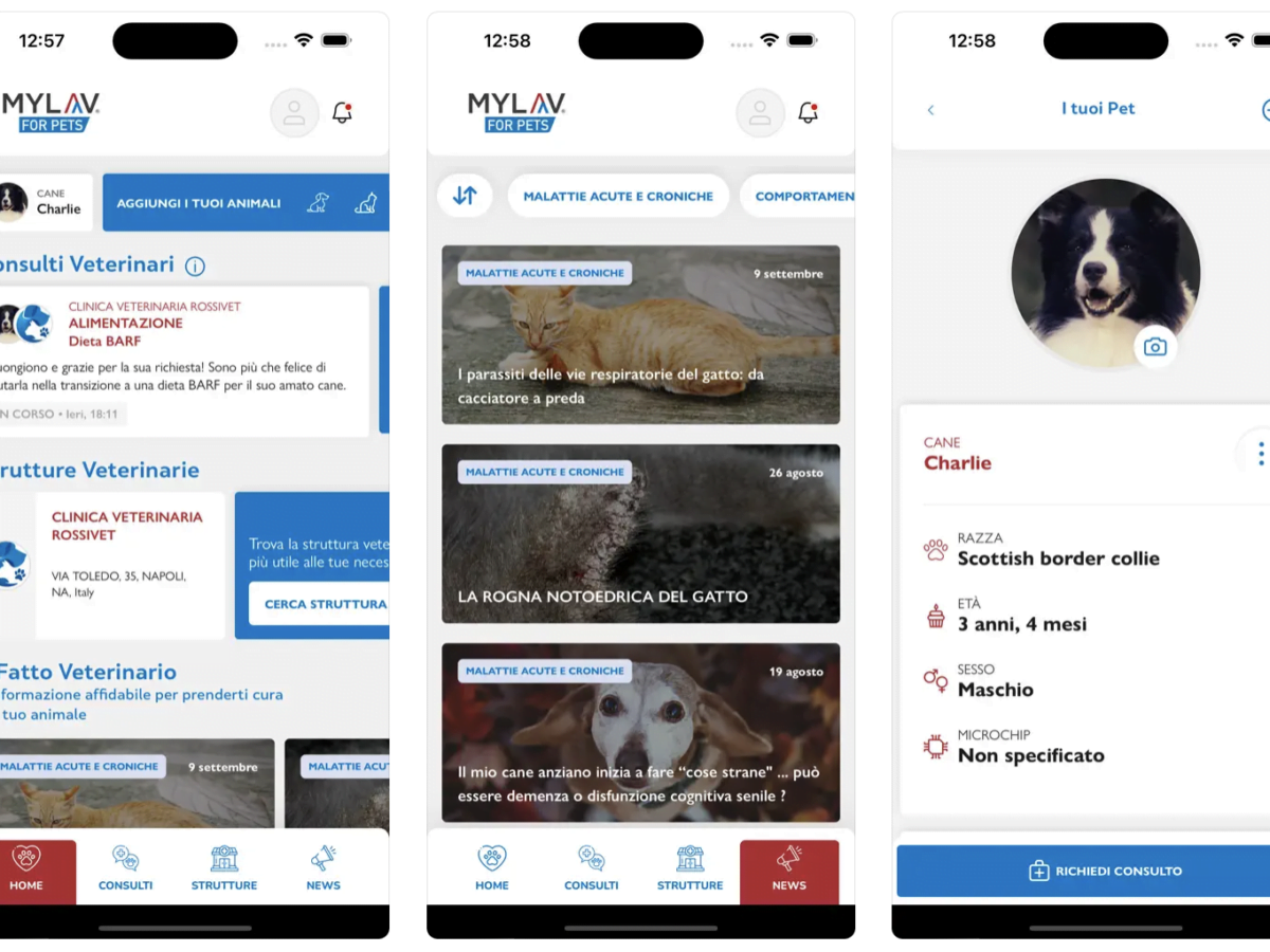 MyLav for Pets: La tua Guida Digitale per il Benessere dei Pets 1 MyLav for Pets