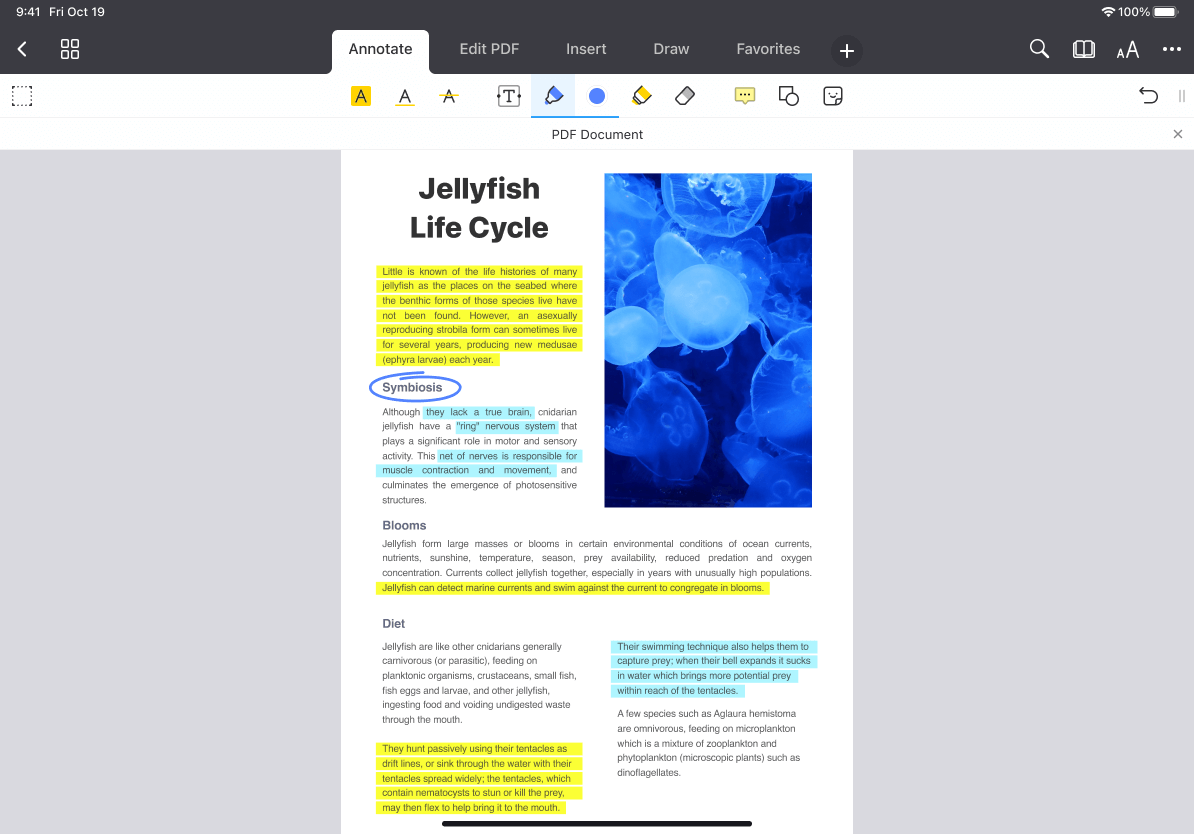 PDF Expert: Perché è l'editor PDF definitivo per Mac e iOS 4 Le annotazioni di PDF Expert per iPad