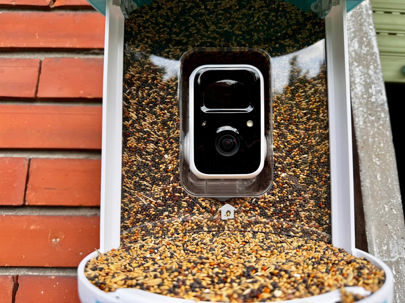 Birdy Feeder scaled