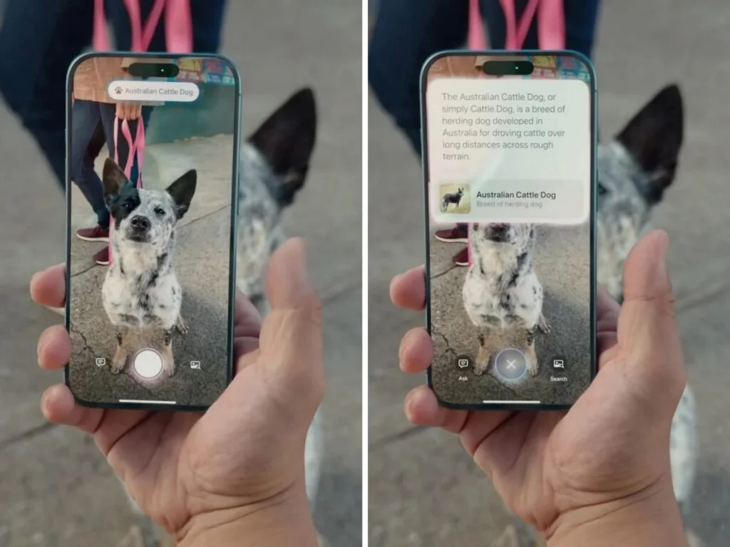 Visual Intelligence su iPhone 16: Tutto Quello che Devi Sapere 3 Visual Intelligence 4.jpg