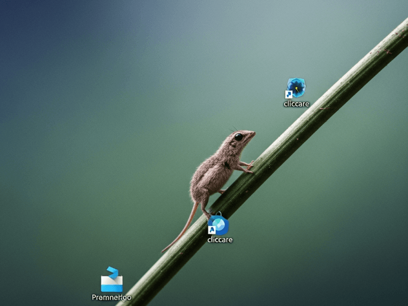 Tranquilli non è un bug software ma un vero e proprio insetto. Al3x mi avverte della strana avventur